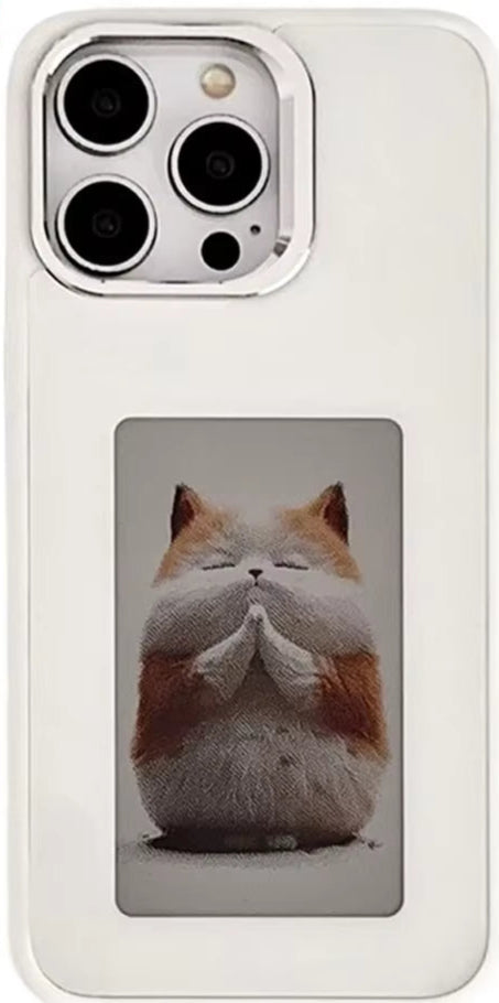 DualView™ Custom Back Display Case